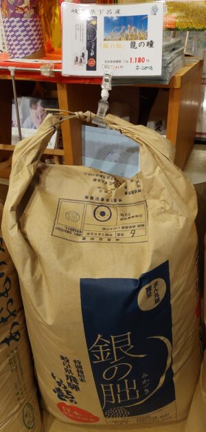 岐阜県下呂産「銀の朏いのちの壱」入荷しています！