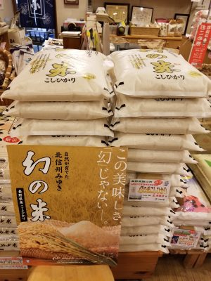 長野県飯山市「幻の米こしひかり」入荷しました！