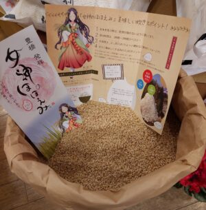 愛知県設楽産「一等米女神ほほえみ」入荷しています！