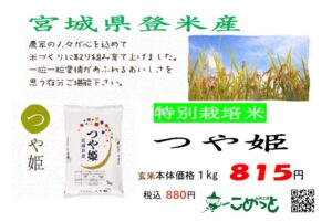 宮城県登米産 特別栽培米「つや姫」入荷しています！